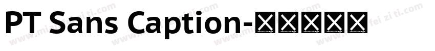 PT Sans Caption字体转换